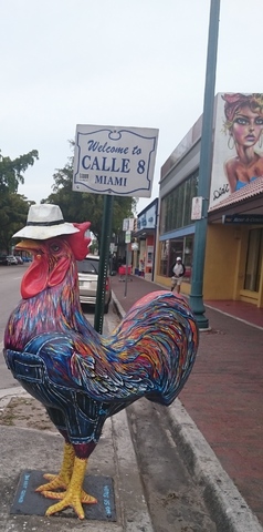 Fort Lauderdale y Little Havana - Ruta por Florida (2016): 18 días (7)