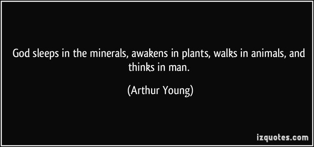 quote god sleeps in the minerals awakens in plan