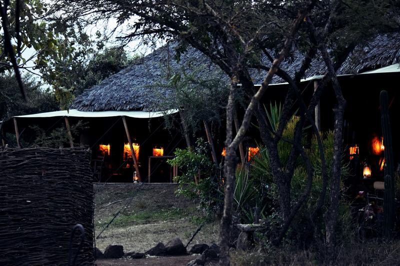 Mis días de safari en Uganda, Kenia y Zanzíbar.. Os lo intento contar - Blogs de Africa Este y Centro - Recorremos Masai Mara de un extremo a otro.. ¡Qué lugar! (47)