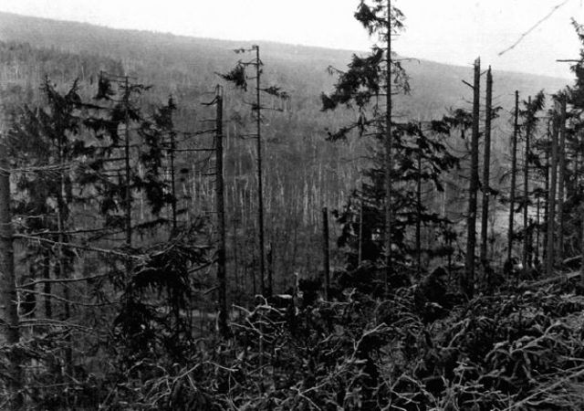 Vista del Hürtenwald desde la meseta de Raffelsbrand