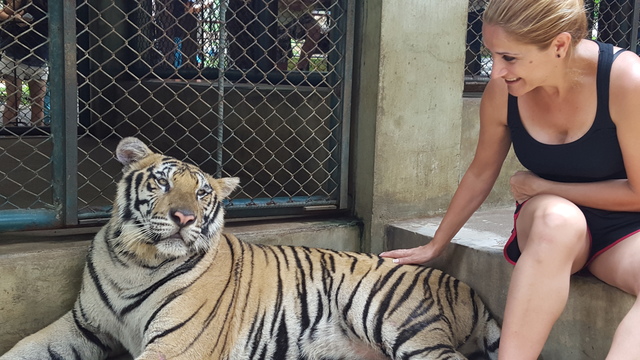 Chiang Mai - Tailandia y Camboya 2015, el viaje soñado (8)