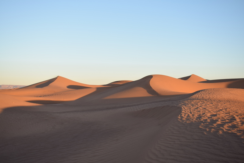 8 dias por el desierto marroqui - Blogs de Marruecos - M´hamid-Hara Oasis (1)