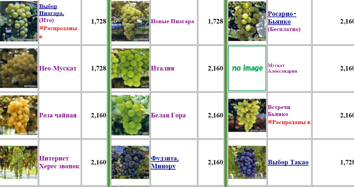 Сорта винограда Японии - стр. 8 - Интродукция винограда - ВИНОГРАДНАЯ ЛОЗА