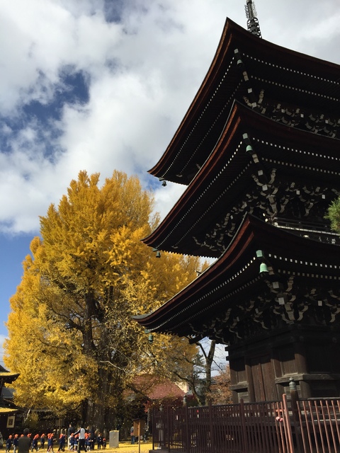 día 9. 22 de noviembre, martes. Takayama–Kyoto - Otoño en Japón (2016) (3)
