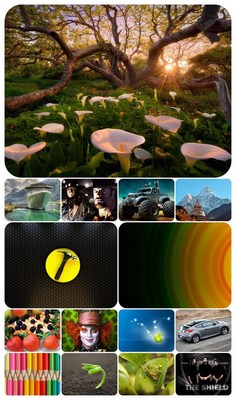 Beautiful Mixed Wallpapers Pack 360