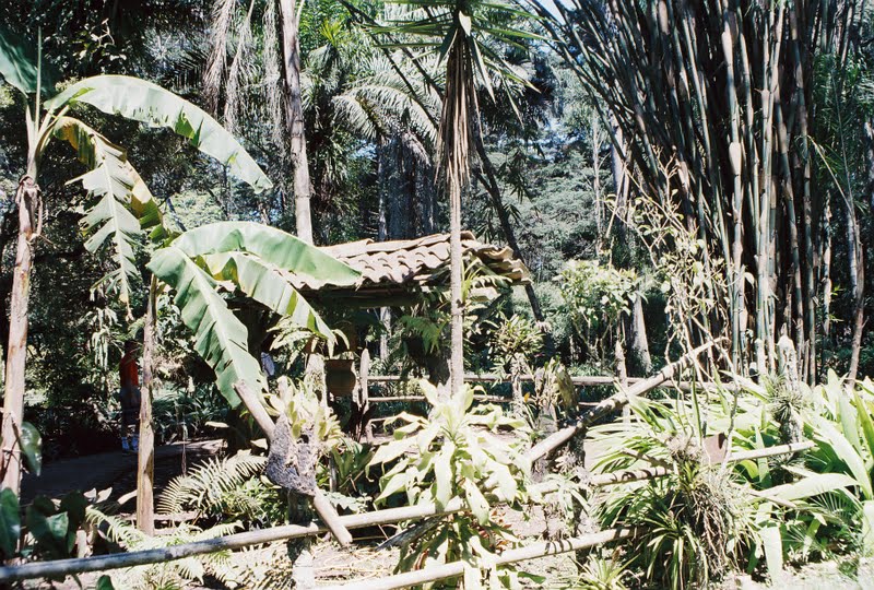 CARTAGO - COSTA RICA Y SUS PUEBLOS-1996 (7)