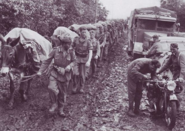 Columna de tropas alpinas con sus mulas de transporte en el Frente Oriental. Otoño 1943