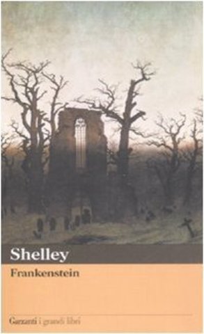 Mary Shelley - Frankenstein (2007)