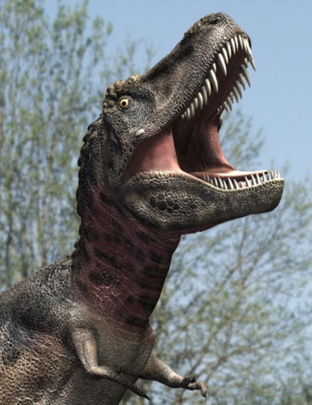 tarbosaurusdr large