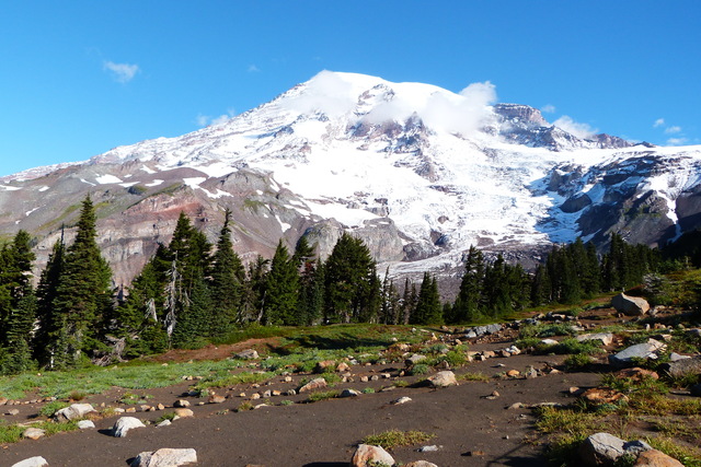 Día 22: Mount Rainier NP - Las maravillas del Noroeste de los Estados Unidos (5)