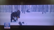 film2.jpg