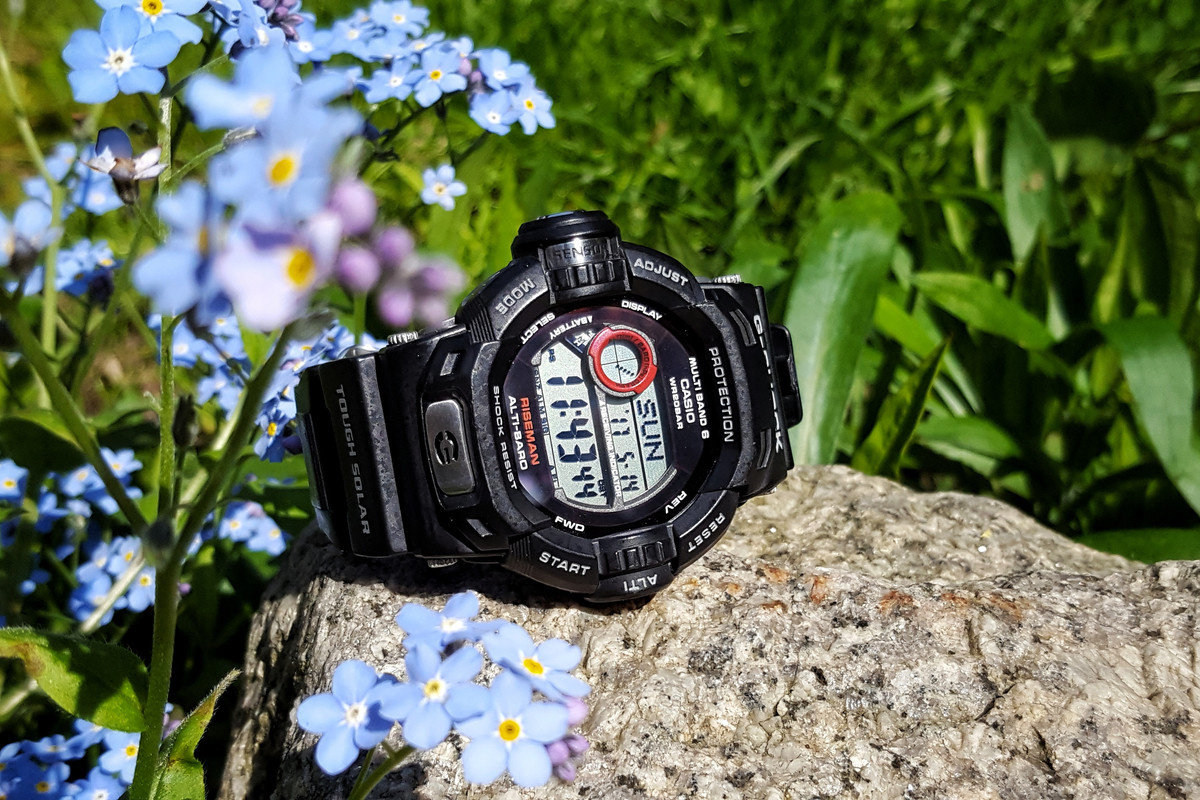 20170514_114343-01.jpg