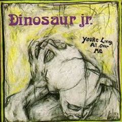 Dinosaur Jr - You're Living All Over Me (1987).mp3 - 128 Kbps