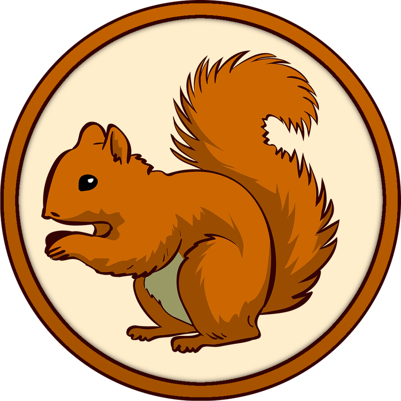 [Image: squirrel.png]