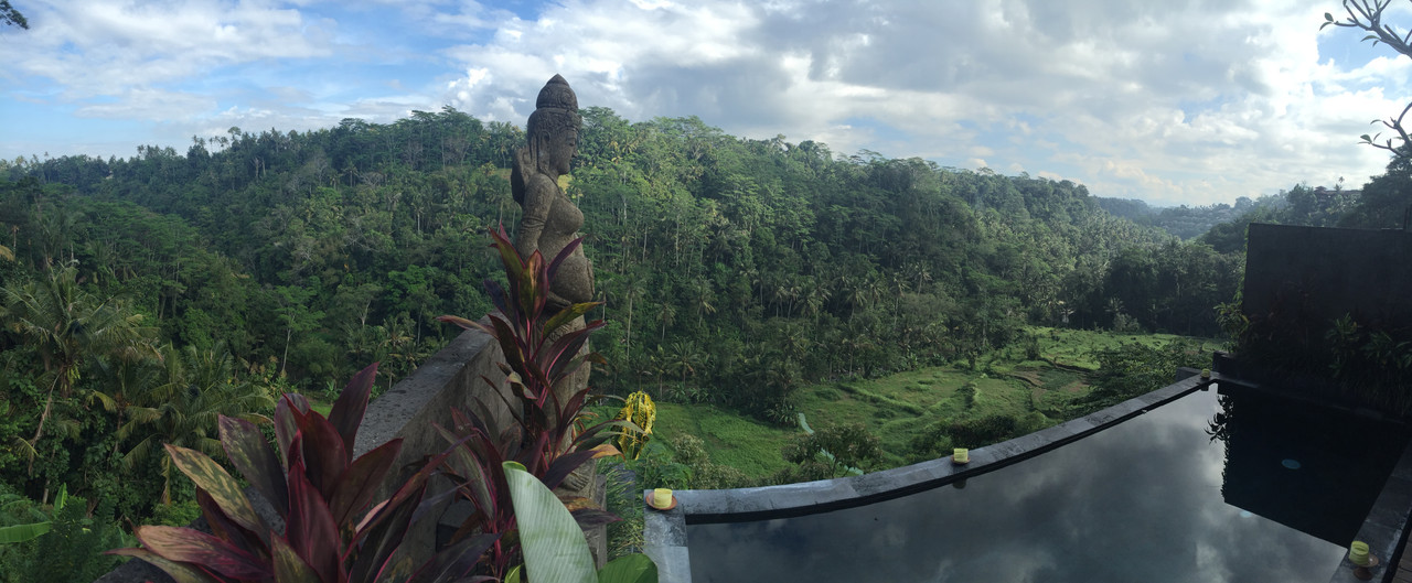 19 días conociendo Bali y sus islas - Blogs de Indonesia - Un día especial (1)